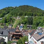 Apartamento Schwarzwald Panorama 3*