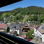 Schwarzwald Panorama 3*