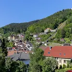 Apartamento Schwarzwald Panorama 3*