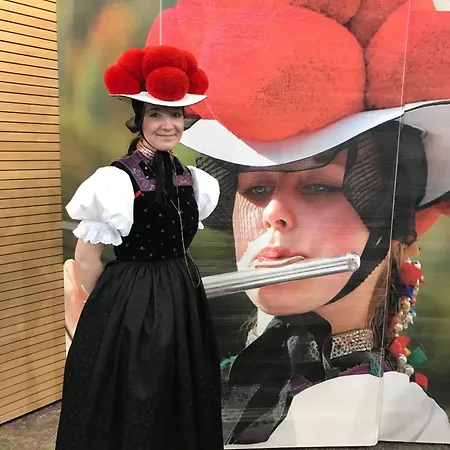 Schwarzwald Panorama 3*