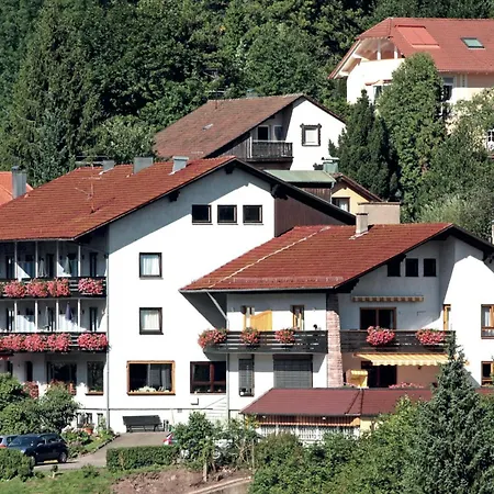 Schwarzwald Panorama Lejlighed