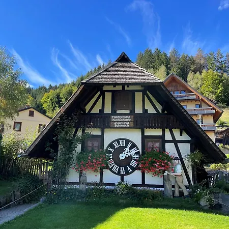 Schwarzwald Panorama Bad Wildbad
