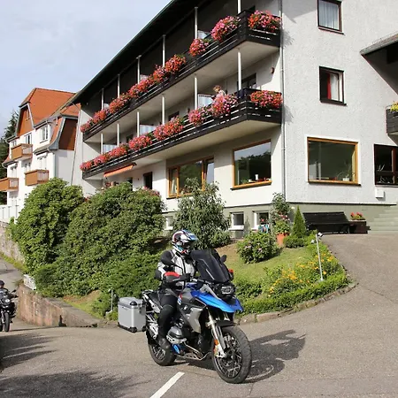 Apartament Schwarzwald Panorama 3*