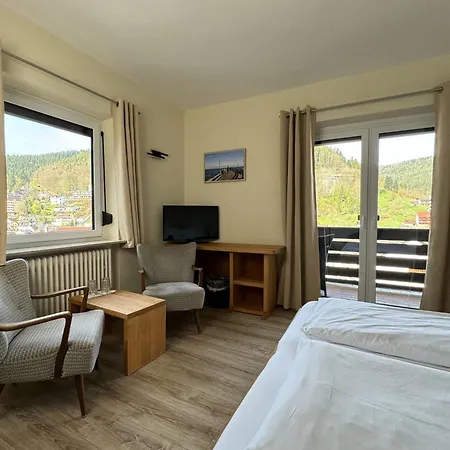 Schwarzwald Panorama דירה 3*