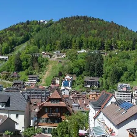 Apartament Schwarzwald Panorama 3*