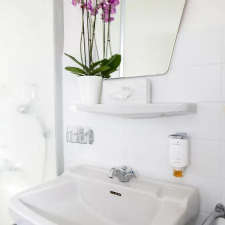 Schwarzwald Panorama Bad Wildbad