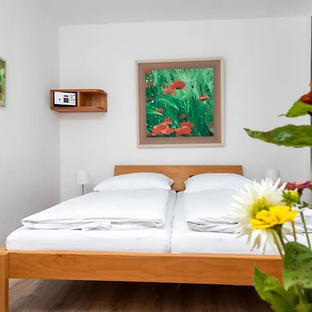 Apartament Schwarzwald Panorama