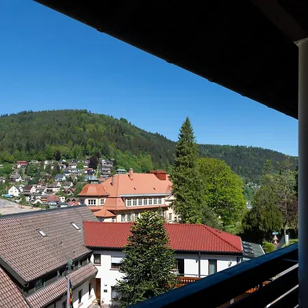Schwarzwald Panorama Lejlighed Bad Wildbad