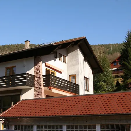 Schwarzwald Panorama