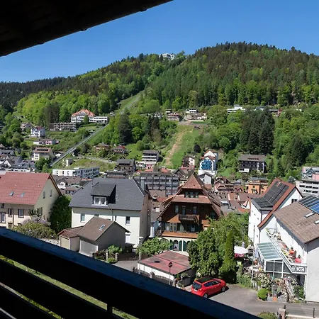 Schwarzwald Panorama 3*