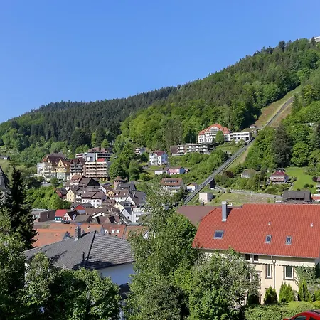Appartement Schwarzwald Panorama 3*