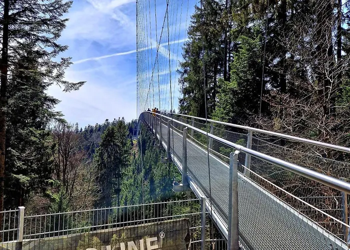 Schwarzwald Panorama 3*